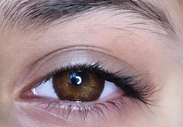 Coffee brown Lense