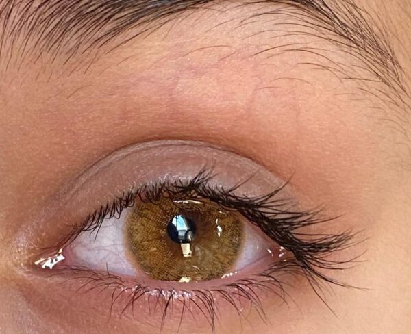 N Hazel