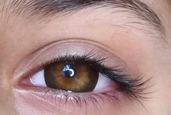 Brown (Hami) Lense