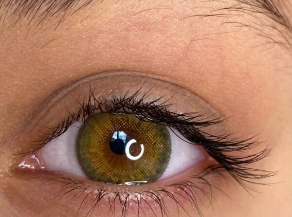 Three Tone Green